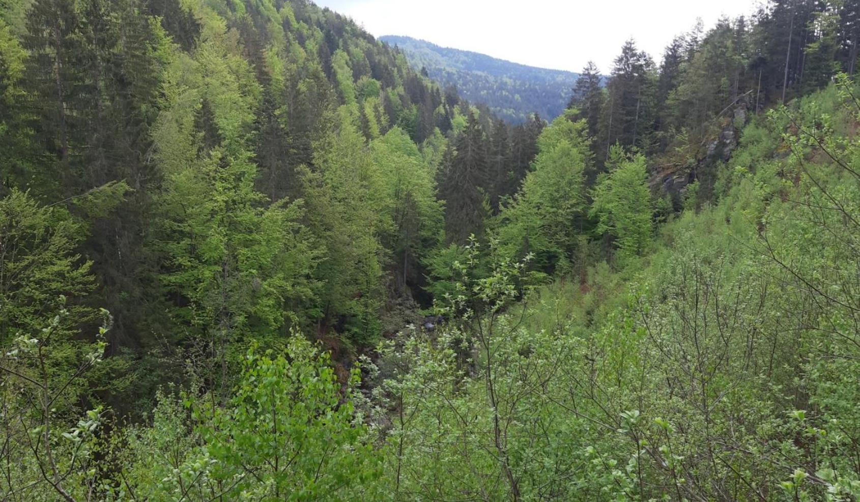 Gaestehaus Am Goldberg ซังก์ออสวาล์ด ภายนอก รูปภาพ